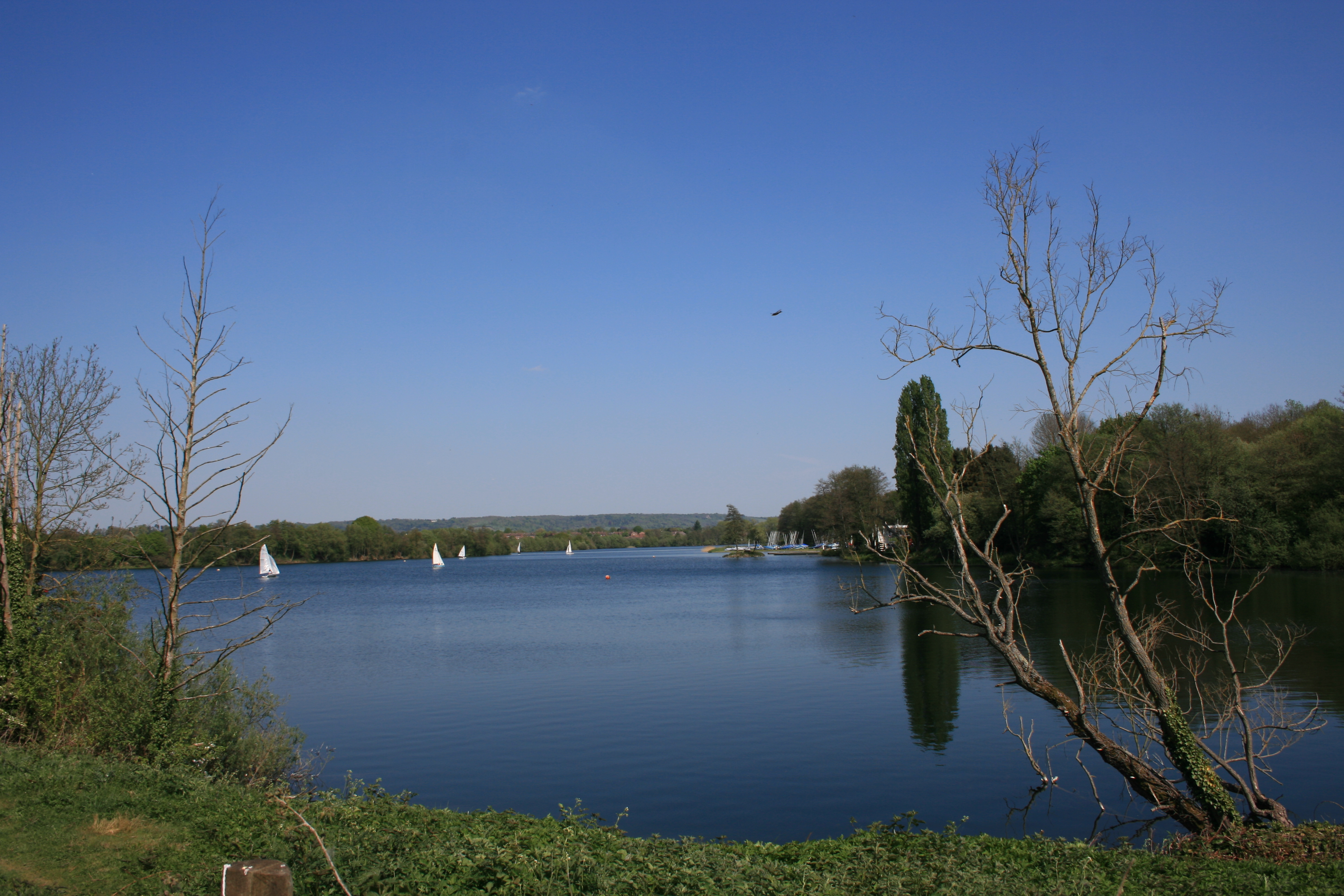 Chipstead lake