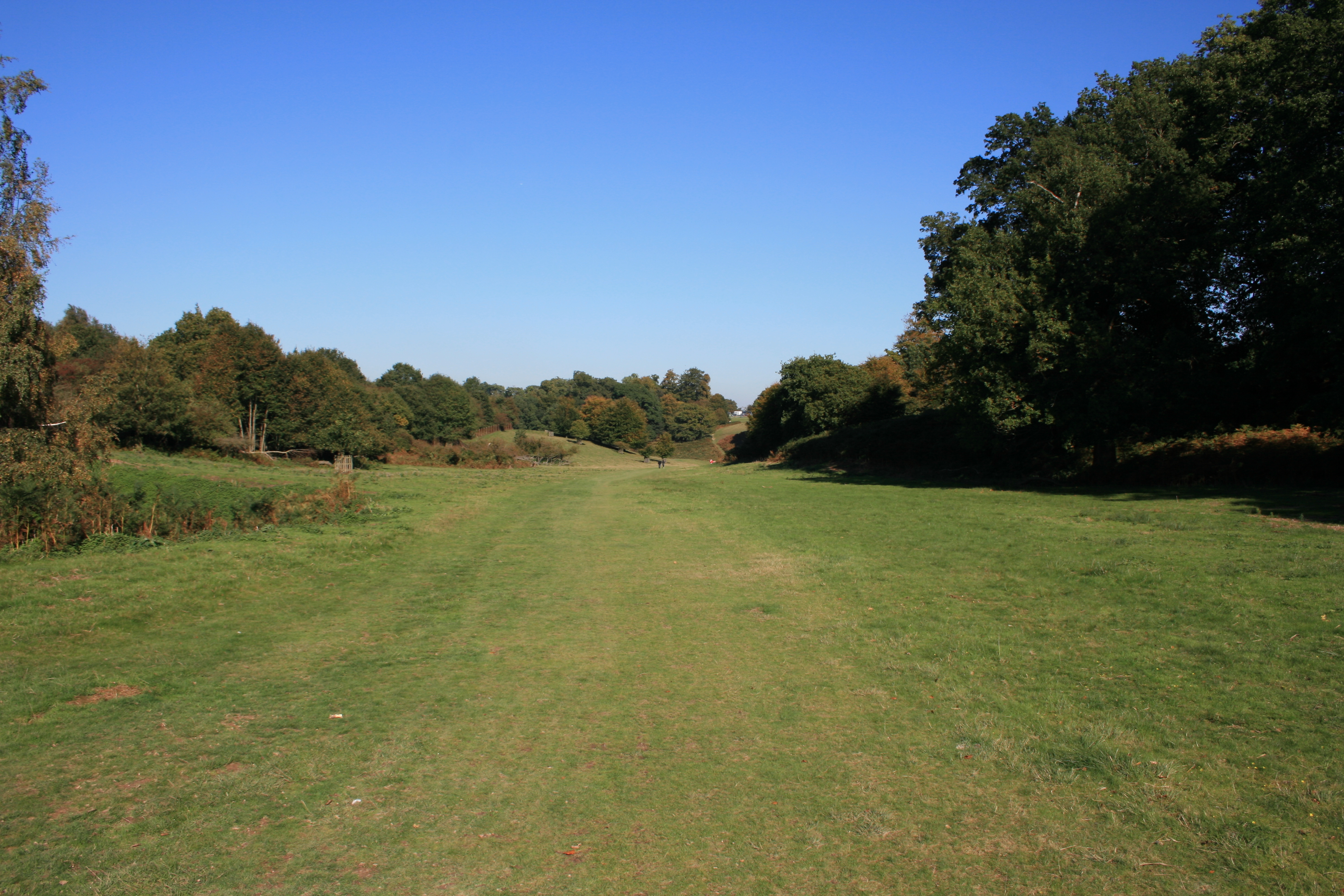 Sevenoaks Knole Park image